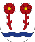 Umzug Rapperswil-Jona Umzug Rapperswil-Jona